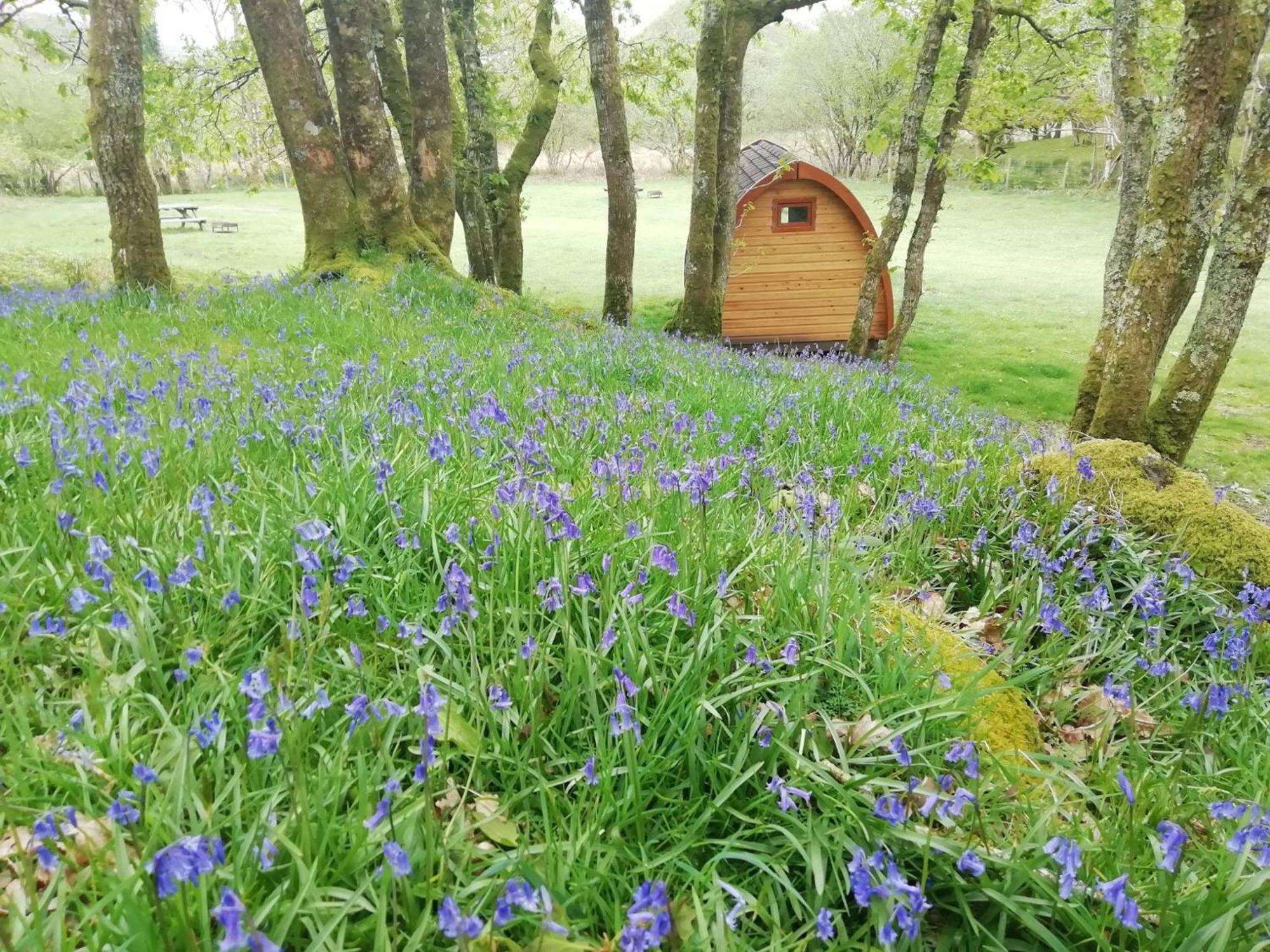 Dinas Otel Llanbedr  Dış mekan fotoğraf